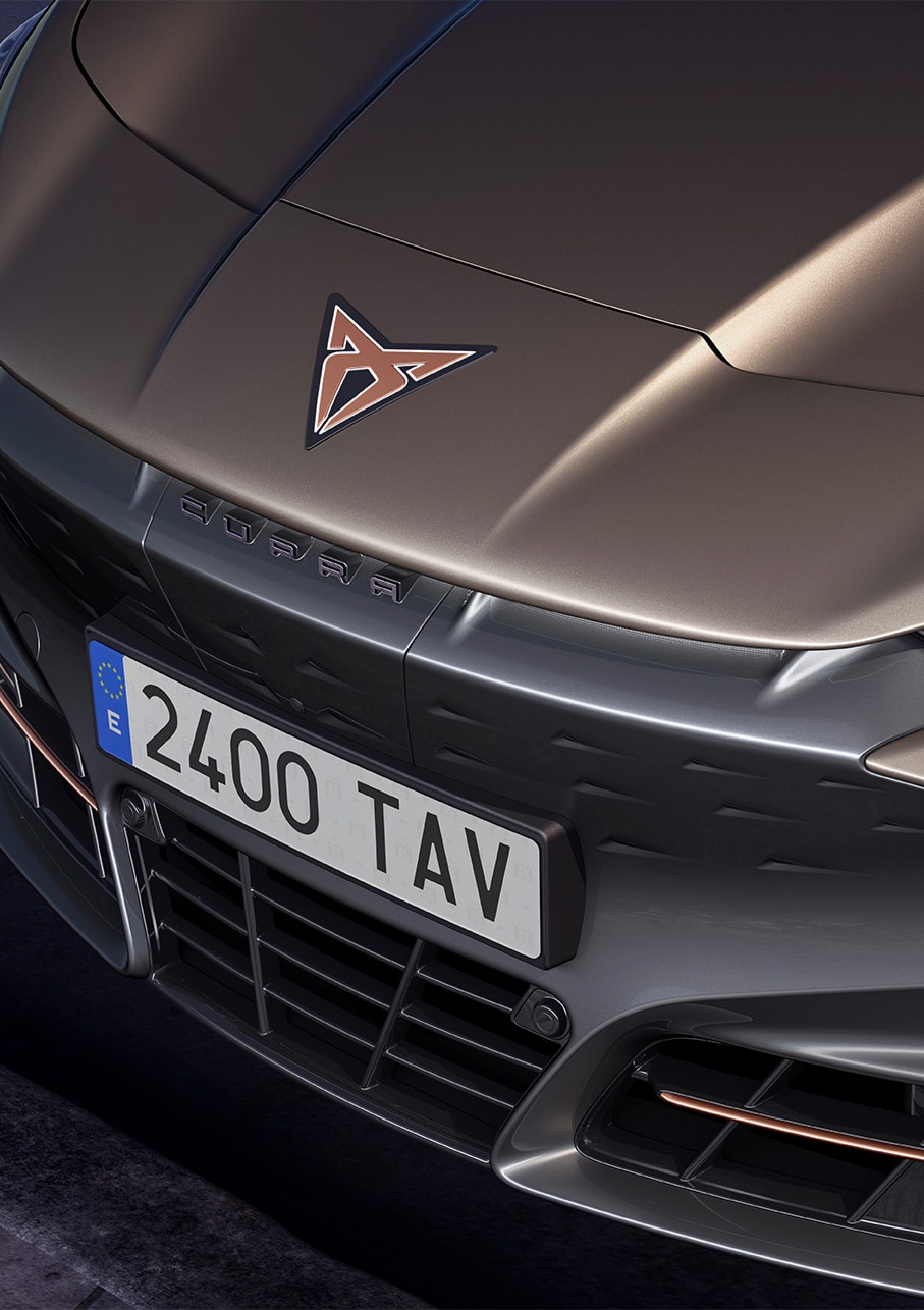 voiture tavascan 2024 coloris gris atacama 