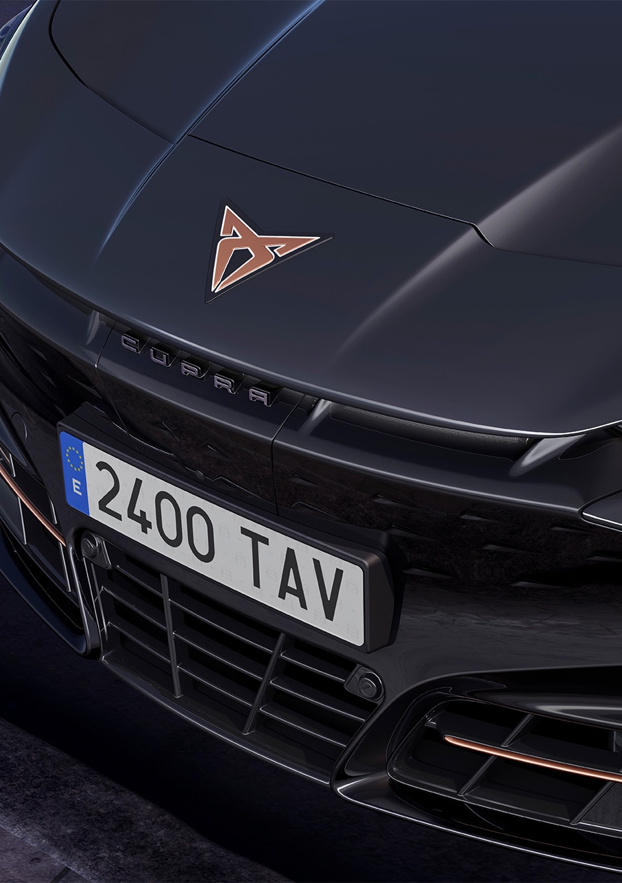 voiture tavascan 2024 coloris gris urano