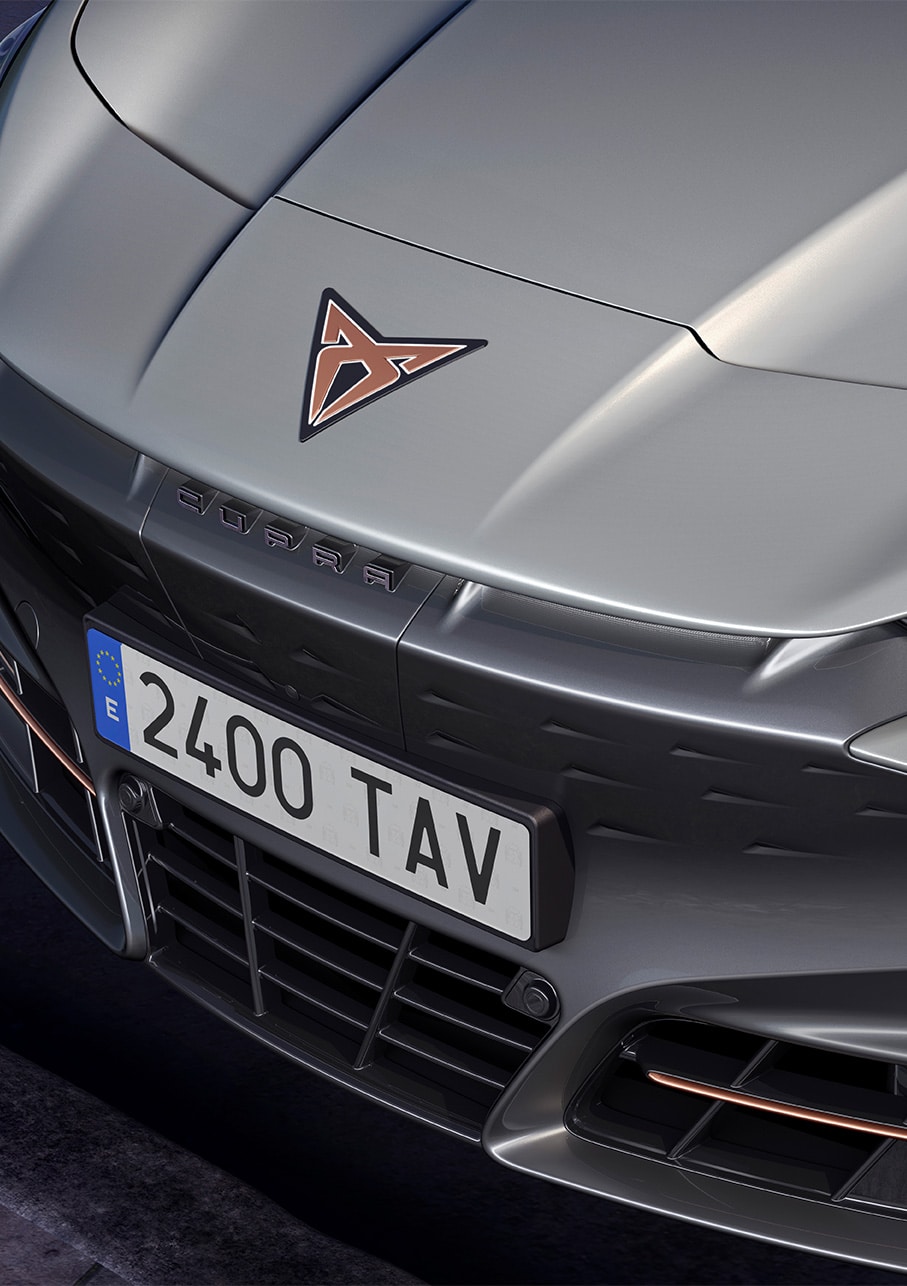 voiture tavascan 2024 coloris gris glacé