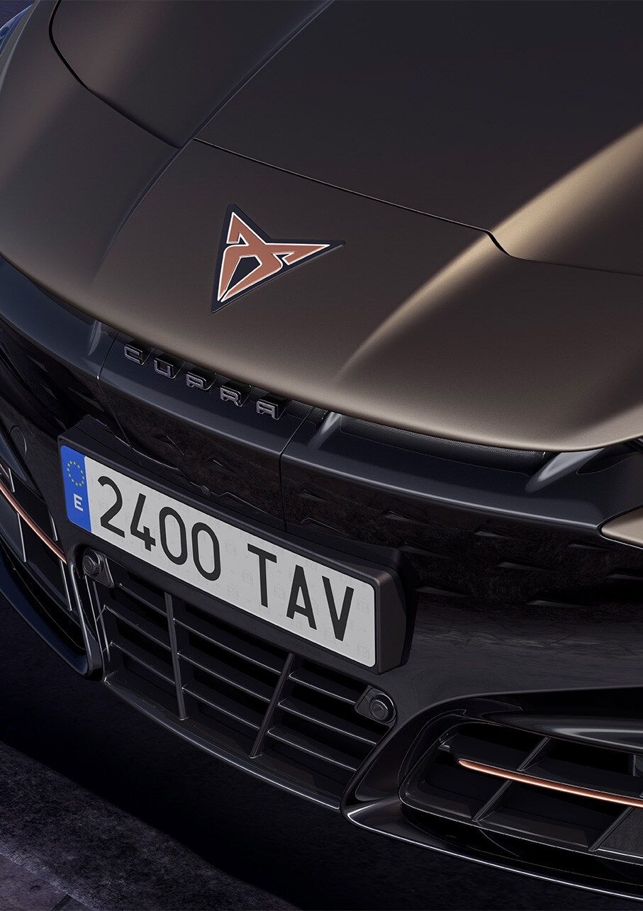CUPRA Tavascan 2025 coloris century bronze mat